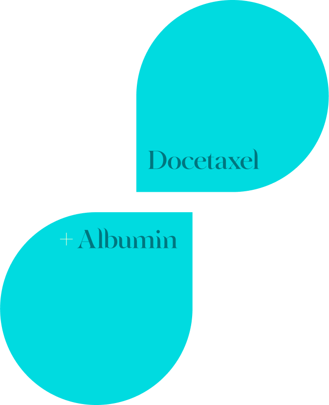 Beizray logo